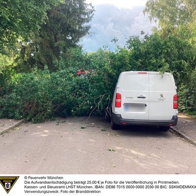 FW-M: Umgestürzter Baum erfordert schweres Gerät (Lochhausen)