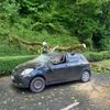 FW-EN: Massiver Baum stürze auf fahrenden Pkw - Zwei Verletzte bei Unfall in Herdecke - Großes Glück für Insassen