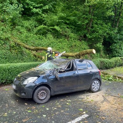 FW-EN: Massiver Baum stürze auf fahrenden Pkw - Zwei Verletzte bei Unfall in Herdecke - Großes Glück für Insassen
