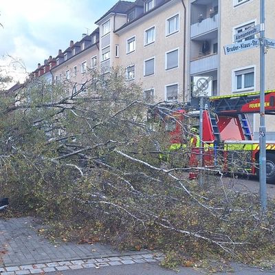 FW Konstanz: Unwetterlage fordert die Feuerwehr