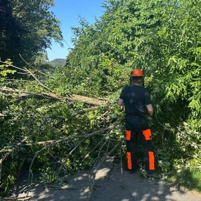 FW-EN: Hattinger Feuerwehr am Wochenende in 25 Einsätzen gefordert