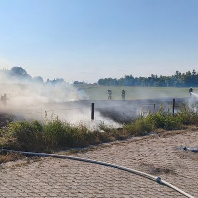 Feuerwehr Kalkar: Flächenbrand an der NATO-Rampe in Grieth erfolgreich gelöscht