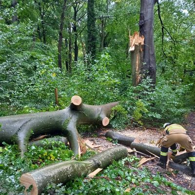 FW-EN: Mehrere Einsätze am Wochenende - Baum blockierte Straße Kemnade