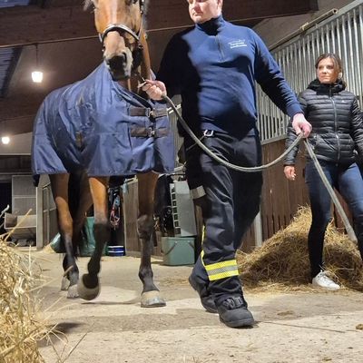 FW Schalksmühle: Feuerwehr trifft Pferd