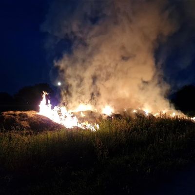 FW Reichenau: Brennende Riedballen auf Ackerfläche abgelöscht - 28.06.2026