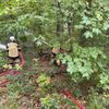 FW-Stormarn: Feuerwehren und Kreis Stormarn Propen Waldbrand mit 180 Einsatzkräften