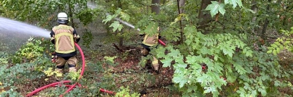 FW-Stormarn: Feuerwehren und Kreis Stormarn Propen Waldbrand mit 180 Einsatzkräften
