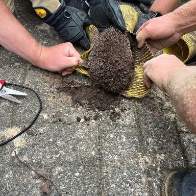 FW Bremerhaven: Technische Tierrettung in Buschkämpen - Feuerwehr befreit Igel aus Drainageleitung