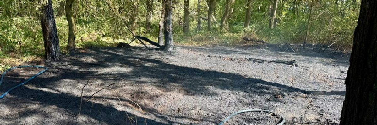 FW Hünxe: Waldbrand in Hünxe