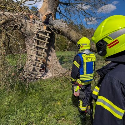 FW Flotwedel: Zwei Einsätze binnen sechs Stunden in Wienhausen