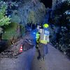 FW-DT: Kleinbrand an einer Gartenhütte