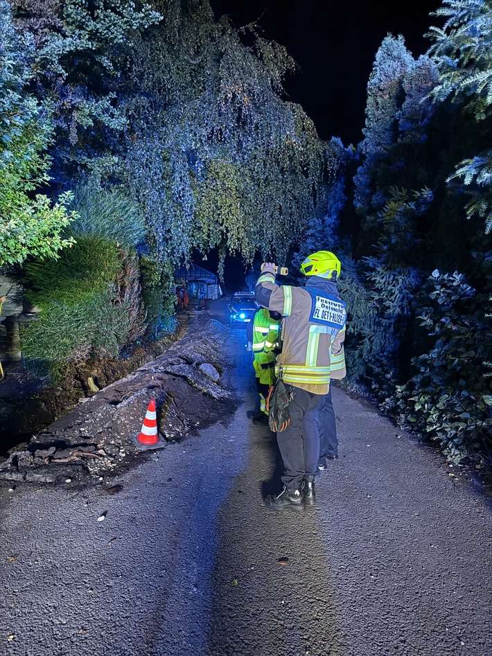 FW-DT: Kleinbrand an einer Gartenhütte