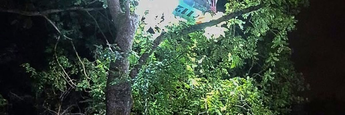 FW-M: Kater "Tequila" in schwindelerregender Höhe (Schwabing)