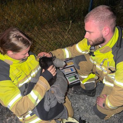 FW Dresden: Dachstuhlbrand in Dresden-Söbrigen - Fünf leicht verletzte Personen versorgt