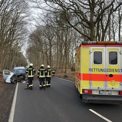 FW-AUR: Baum-Aufprall reißt Motorblock aus PKW