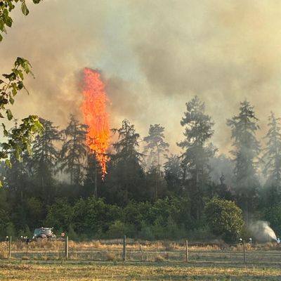 FW Sonsbeck: Waldbrand in Labbeck