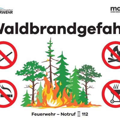 FW-MG: Feuerwehr-Übung: Vegetationsbrandbekämpfung