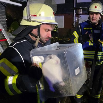 FW Celle: Dachstuhlbrand in Groß Hehlen - Celler Feuerwehr im Großeinsatz