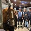 FW Schalksmühle: Feuerwehr trifft Pferd