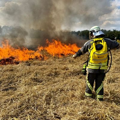 FW Hünxe: Durchführung eines Seminars zur Bekämpfung von Wald- und Vegetationsbränden