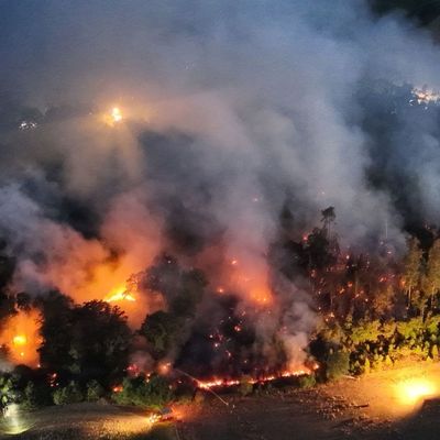 FW Sonsbeck: Aufräumarbeiten Waldbrand Labbeck