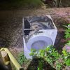 FW-DO: Kellerbrand in Dortmunder Einfamilienhaus