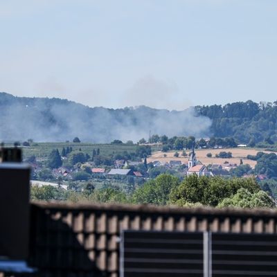FW Überlingen: Flächenbrand / rund 2.000 Quadratmeter in Flammen / Feuer schnell gelöscht