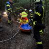 FW-EN: Feuerwehr rettet gestürzte Person aus Wald