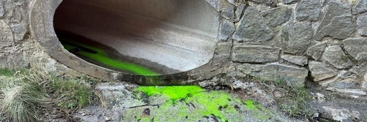 FW Dresden: ABC-Einsatz der Feuerwehr Dresden: Verfärbungen im Kaitzbach - keine Gefahr!
