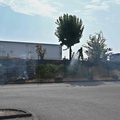 FW Pulheim: Vegetationsbrand in Pulheimer Industriegebiet
