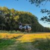 FW Flotwedel: Verpuffung in Werkstatt