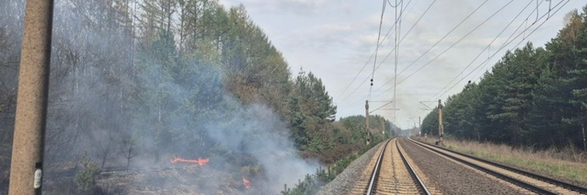 FW Südheide: Böschungsbrand an der Bahnstrecke zwischen Unterlüß und Suderburg