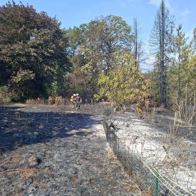 FW Sonsbeck: Aufräumarbeiten Waldbrand Labbeck
