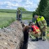 FW Dresden: Verkehrsunfall & Tierrettung
