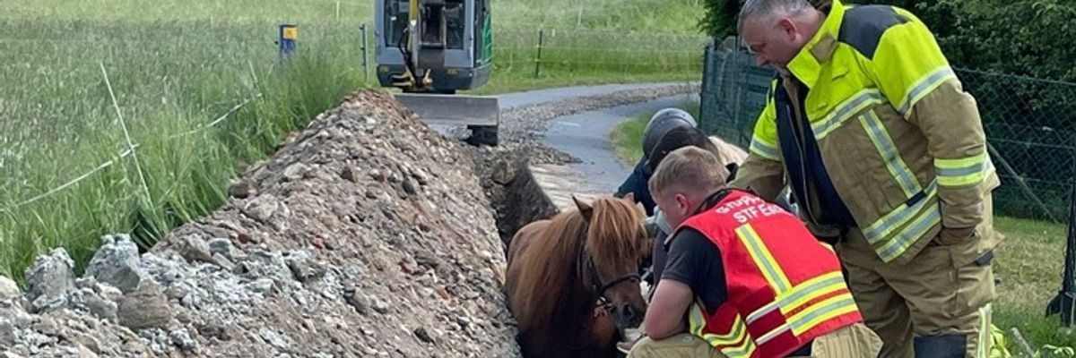 FW Dresden: Verkehrsunfall & Tierrettung