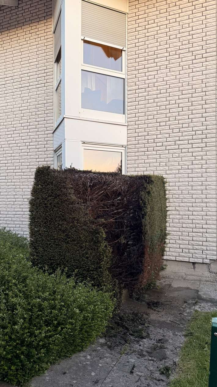 FW-DT: Brennende Hecke - Anwohner verhindern Schlimmeres