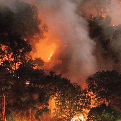 FW Alpen: Überörtliche Hilfe bei Waldbrand in Sonsbeck - Labbeck