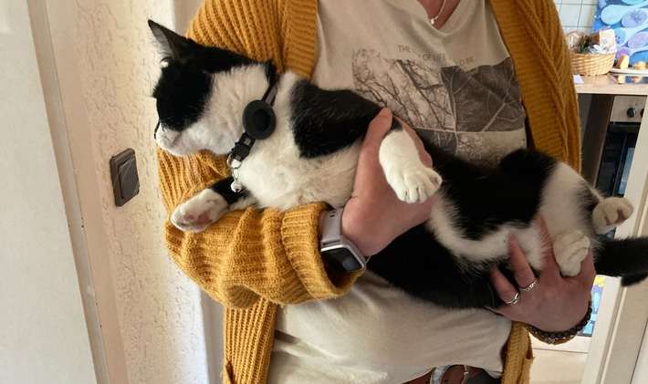 FFW Schwalmtal: Feuerwehr rettet Katze aus Baum