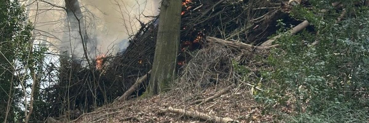 FW-Velbert: Flächenbrand an der Losenburger Straße