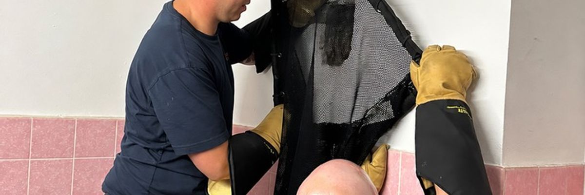 FW-NE: Katze aus stillgelegtem Schornstein gerettet | Dreistündige Tierrettung