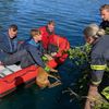 FW-DO: Feuerwehr rettet jungen Rehbock aus dem Kanal