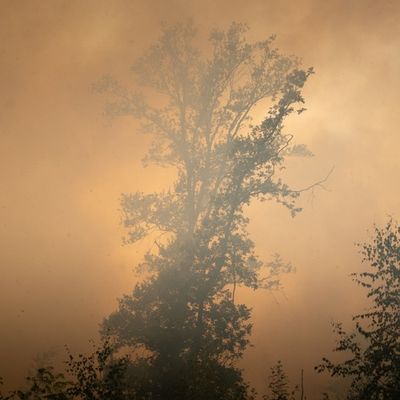 FW LK Neunkirchen: Waldbrand im Hosterwald: Einsatz nach 78 Stunden beendet