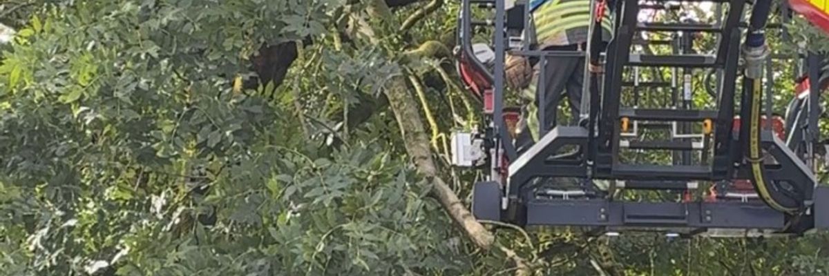 FW Bocholt: Herbststurm sorgt für zahlreiche Einsätze der Feuerwehr Bocholt