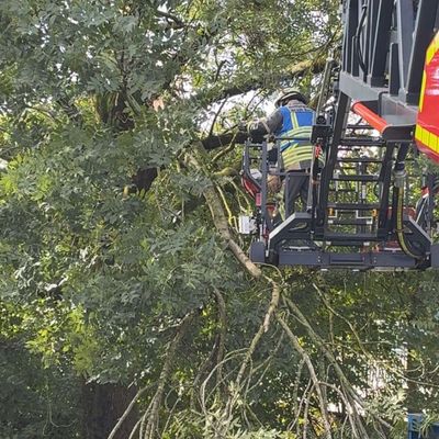 FW Bocholt: Herbststurm sorgt für zahlreiche Einsätze der Feuerwehr Bocholt