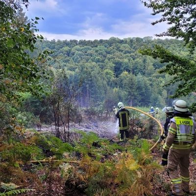 FW Lügde: Waldbrand zwischen Elbrinxen und Henkenbrink