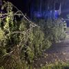 FW-KLE: Drei wetterbedingte Einsätze für die Freiwillige Feuerwehr Bedburg-Hau (Korrektur: Jetzt mit Einsatzbildern!)