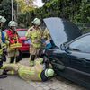 FW-KLE: Feuerwehr befreit Katze aus Motorraum