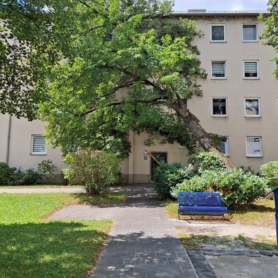 FW-M: Baum stürzt auf Haus (Berg am Laim)