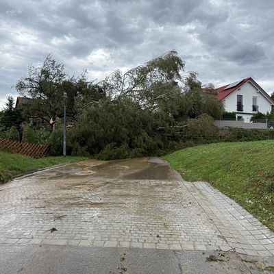 FW Überlingen: Heftiges Unwetter fordert Feuerwehr und führt zu 72 Einsätzen innerhalb kurzer Zeit / umgestürzte Bäume / vollgelaufene Keller / blockierte Fahrbahnen / abgedeckte Häuser