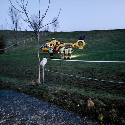 FW Weinheim: Schwerer Reitunfall im Wald - Einsatzkräfte retten Patientin unter schwierigen Bedingungen